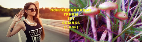 мдпв Бородино
