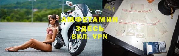 мдпв Бородино