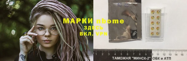 мдпв Бородино