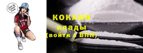 мдпв Бородино