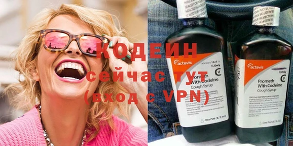 мдпв Бородино