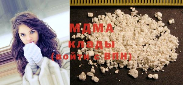 мдпв Бородино
