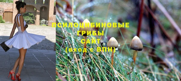 mdpv Семилуки