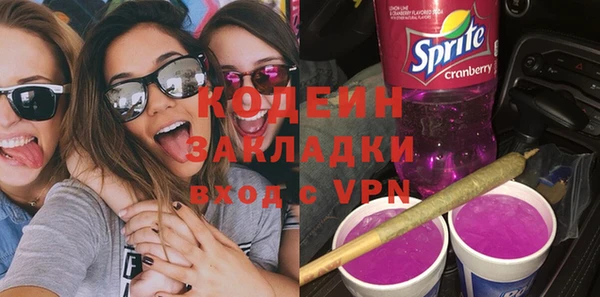 мдпв Бородино