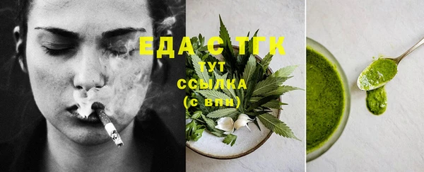 мдпв Бородино