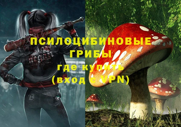 мдпв Бородино