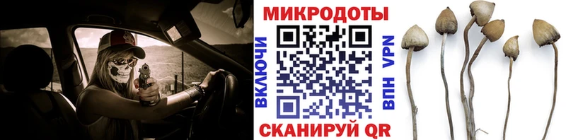 Псилоцибиновые грибы Psilocybine cubensis  Муравленко 